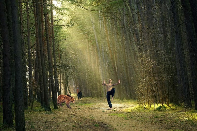 Martial Arts Training